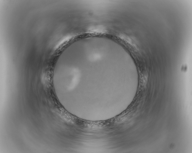 X0000093581254200711051111