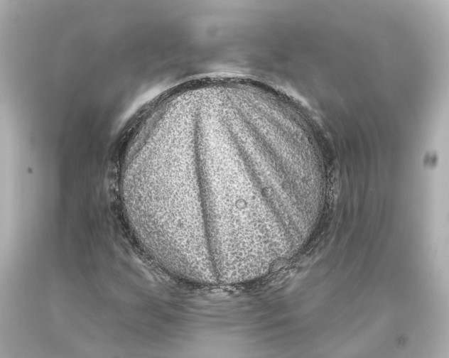 X0000093581255200711051111