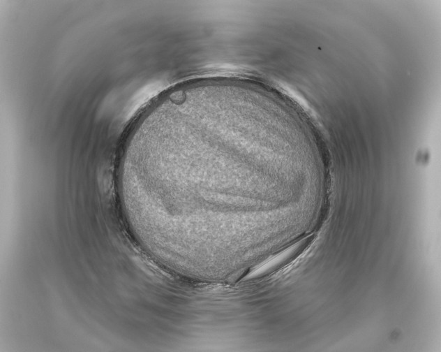 X0000093581259200711051111