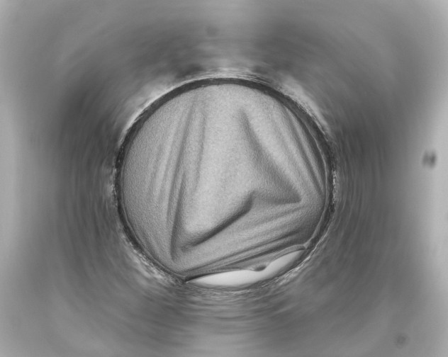 X0000093581260200711051111