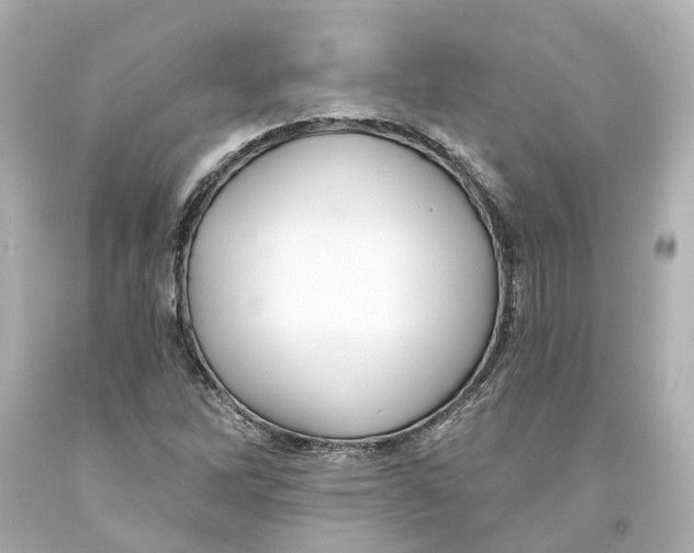 X0000093581262200711051111