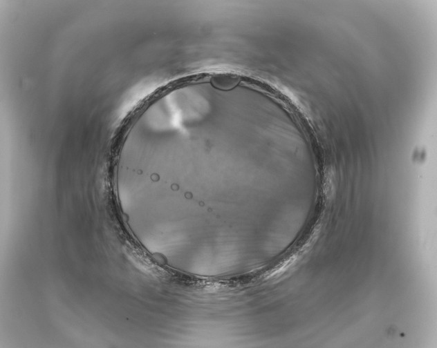 X0000093581263200711051111