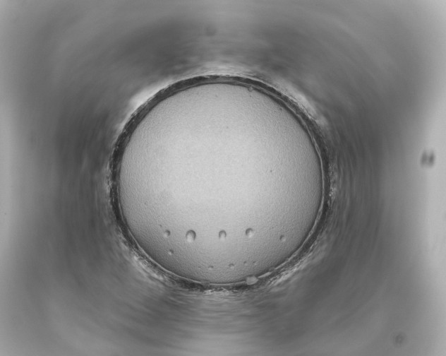 X0000093581264200711051111