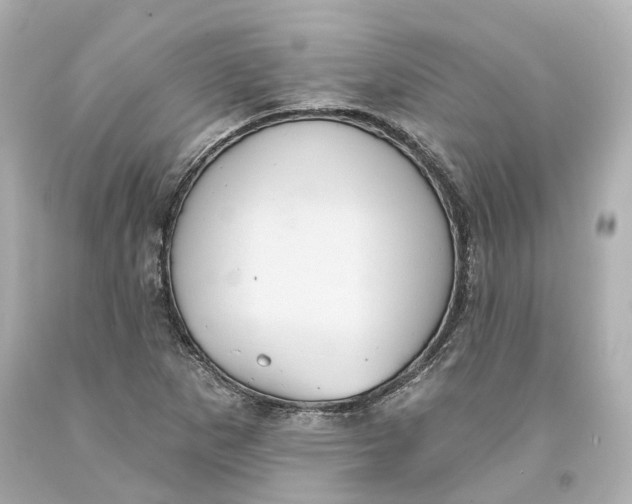 X0000093581265200711051111