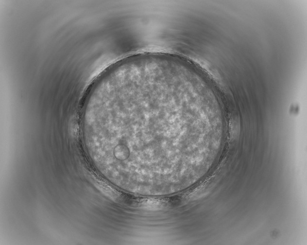 X0000093581266200711051111