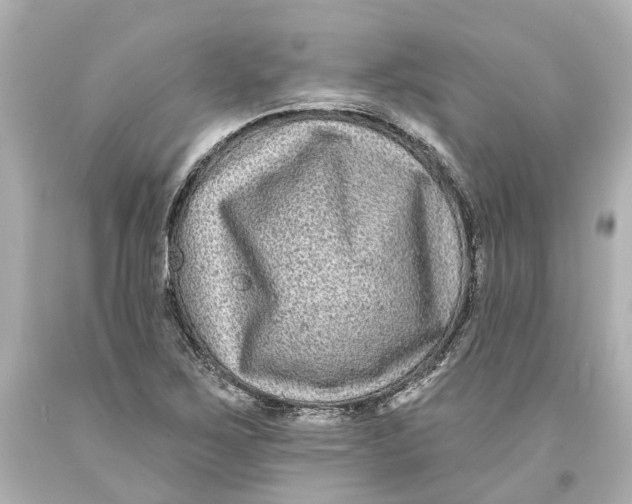 X0000093581267200711051111