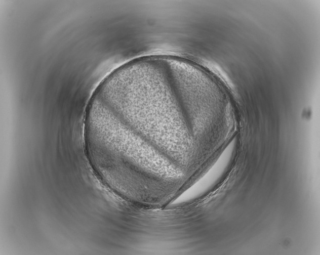 X0000093581268200711051111