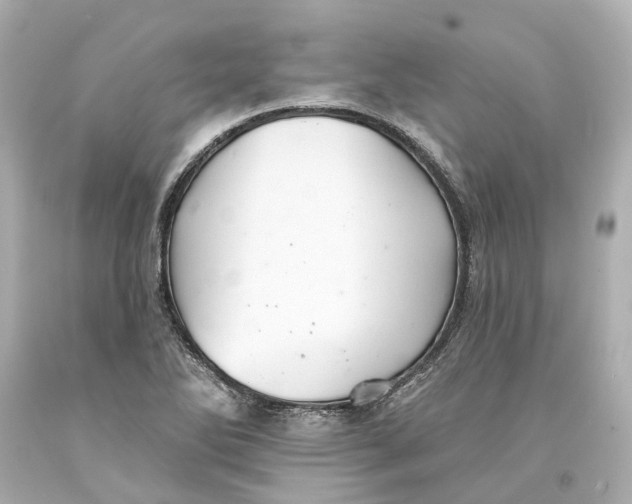 X0000093581270200711051111