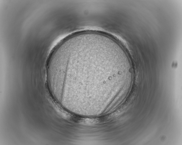 X0000093581271200711051111