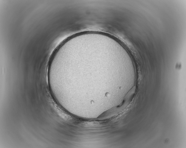 X0000093581272200711051111