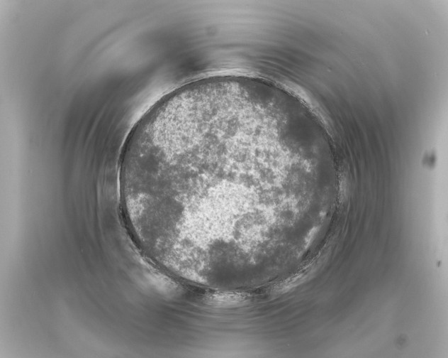 X0000093581274200711051110