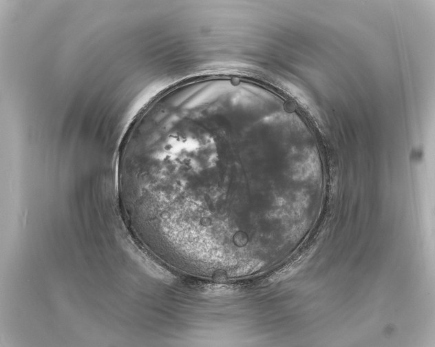 X0000093581275200711051110