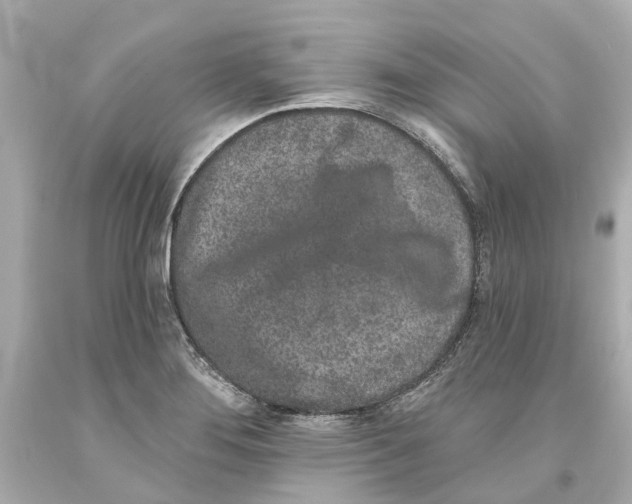 X0000093581276200711051110