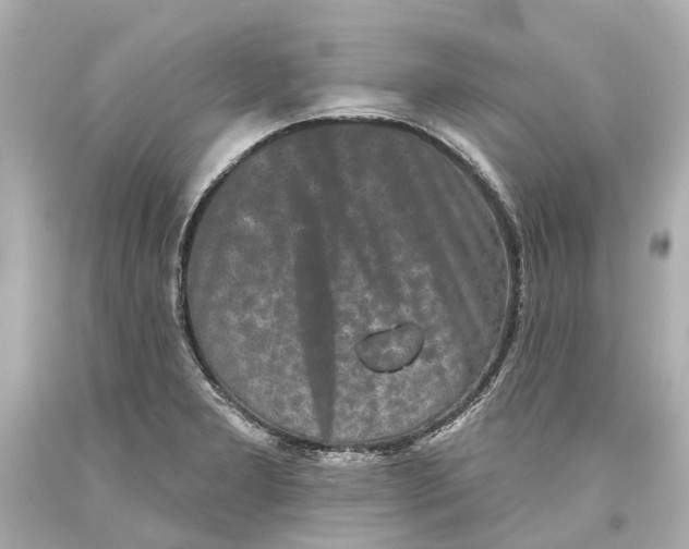 X0000093581277200711051110