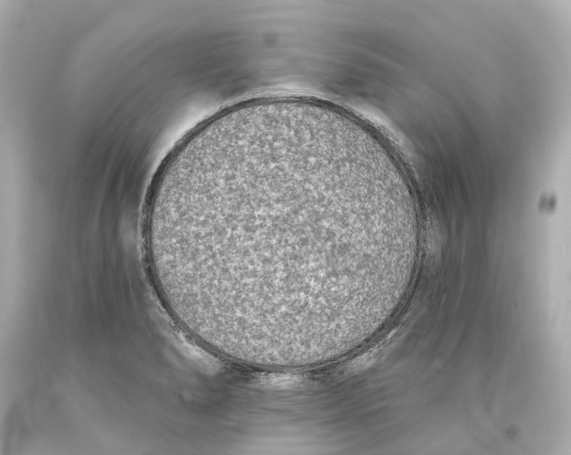 X0000093581278200711051110