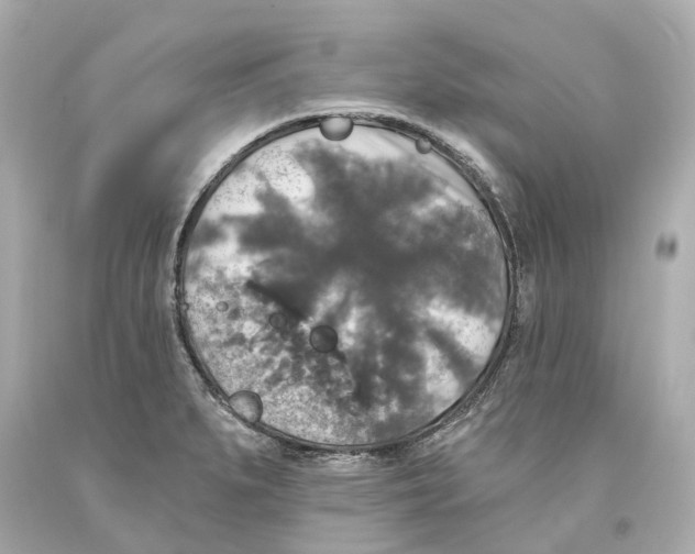 X0000093581279200711051110