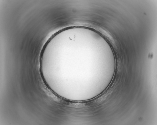 X0000093581280200711051110