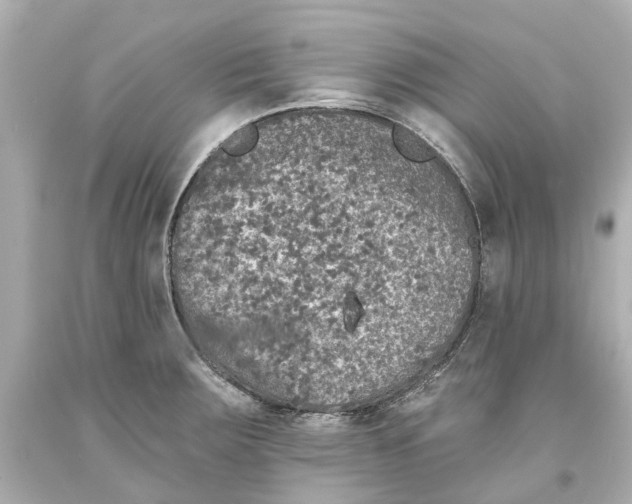 X0000093581283200711051110