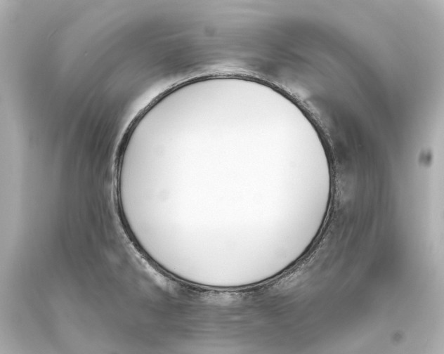 X0000093581286200711051110