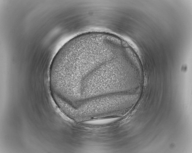 X0000093581287200711051110