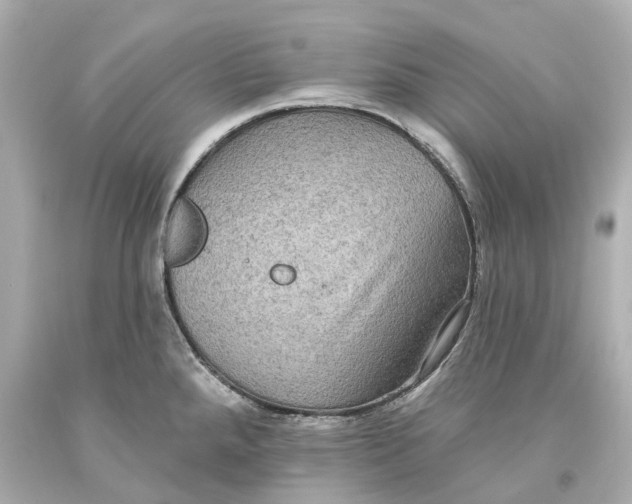 X0000093581288200711051110