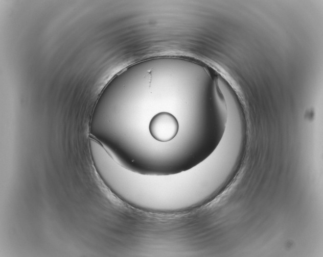 X0000093581289200711051110