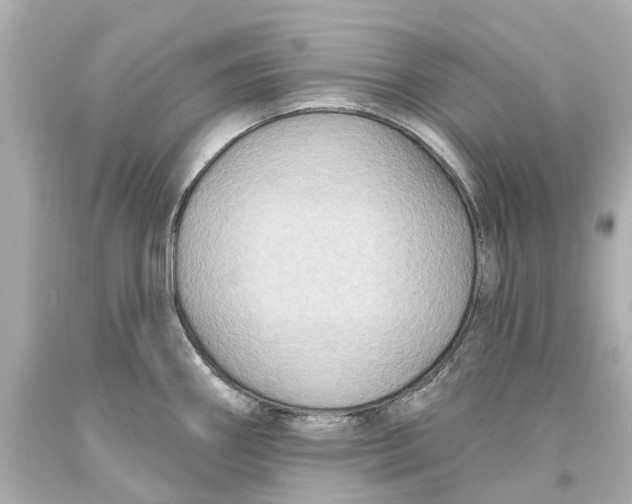 X0000093581290200711051110