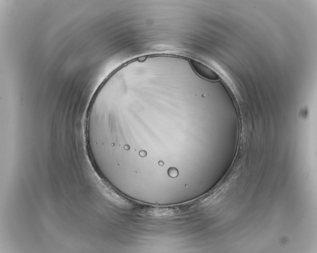 X0000093581291200711051110