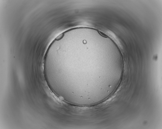 X0000093581292200711051110