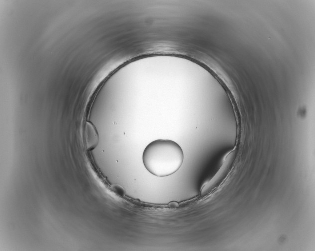 X0000093581293200711051110