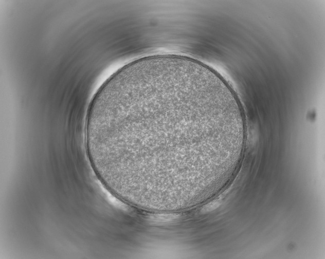 X0000093581294200711051110