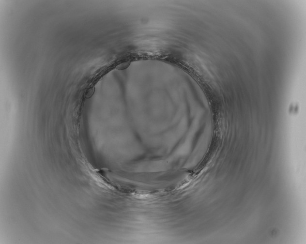 X0000093581297200711051110