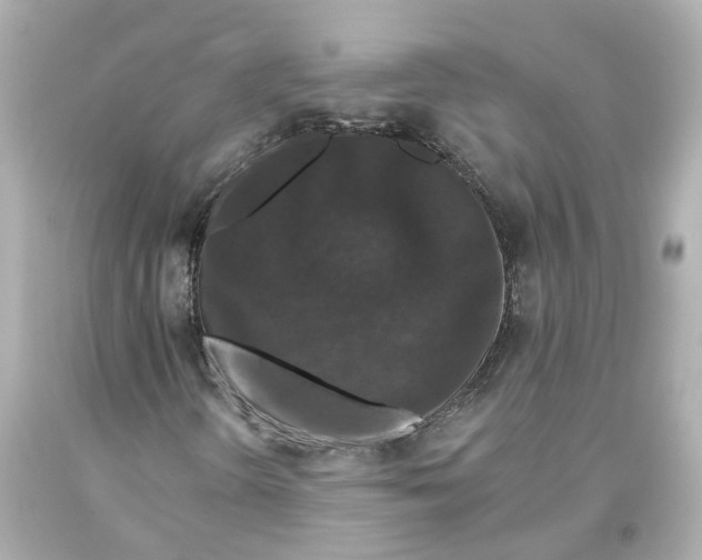 X0000093581298200711051110