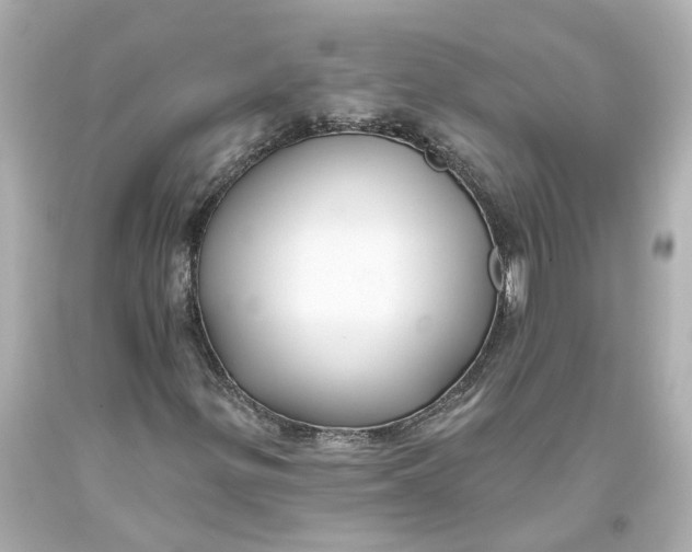 X0000093581299200711051110