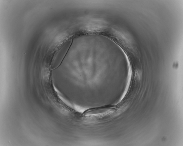 X0000093581300200711051110