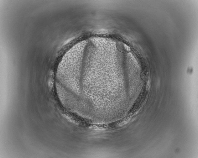 X0000093581301200711051110