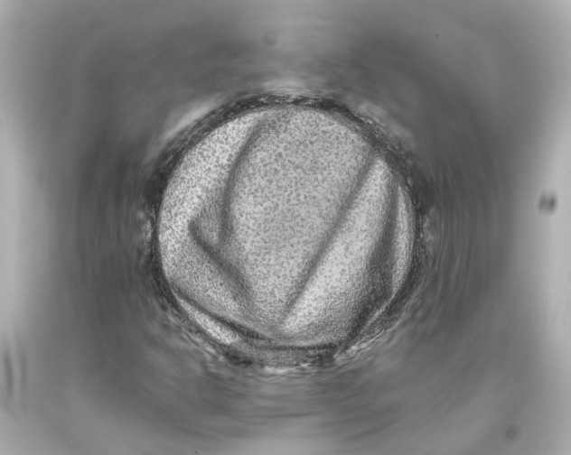 X0000093581302200711051110