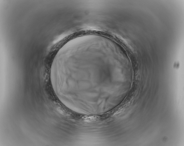 X0000093581303200711051110