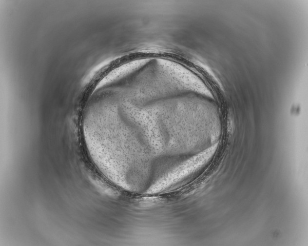 X0000093581304200711051110