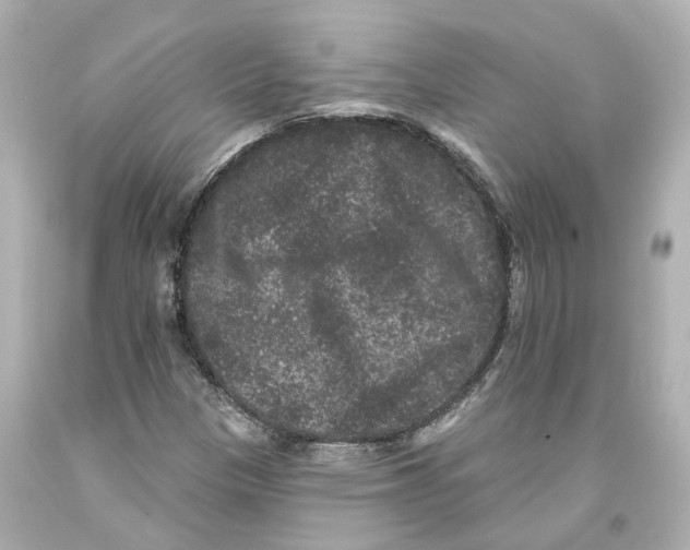 X0000093581305200711051110