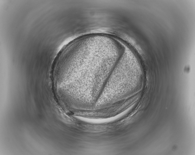 X0000093581308200711051110