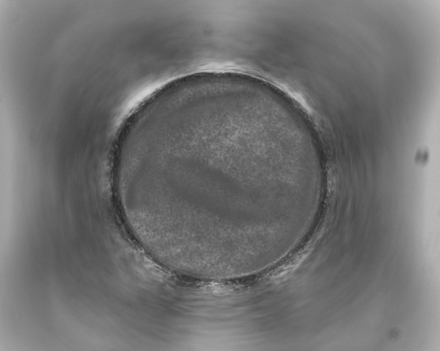 X0000093581311200711051110