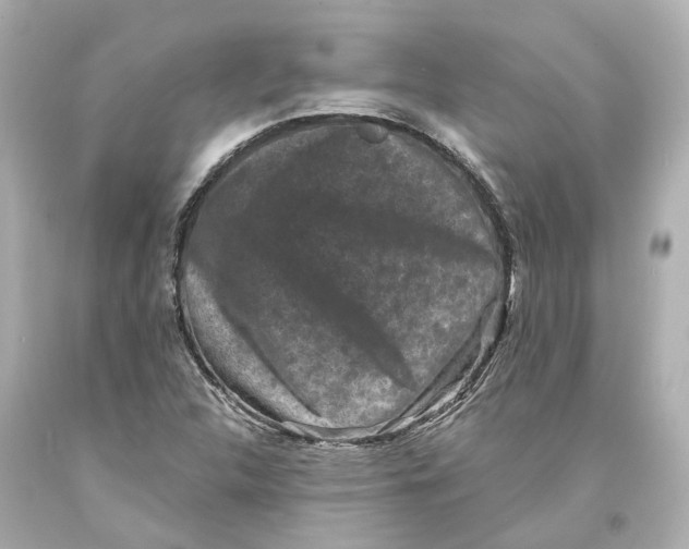 X0000093581312200711051110