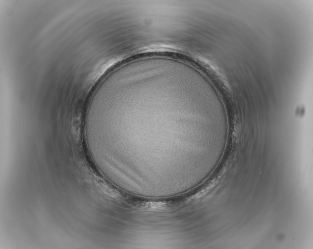 X0000093581313200711051110