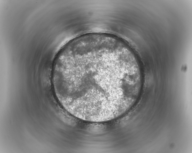 X0000093581314200711051110