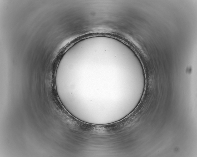 X0000093581315200711051110