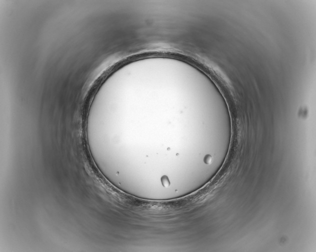 X0000093581318200711051110