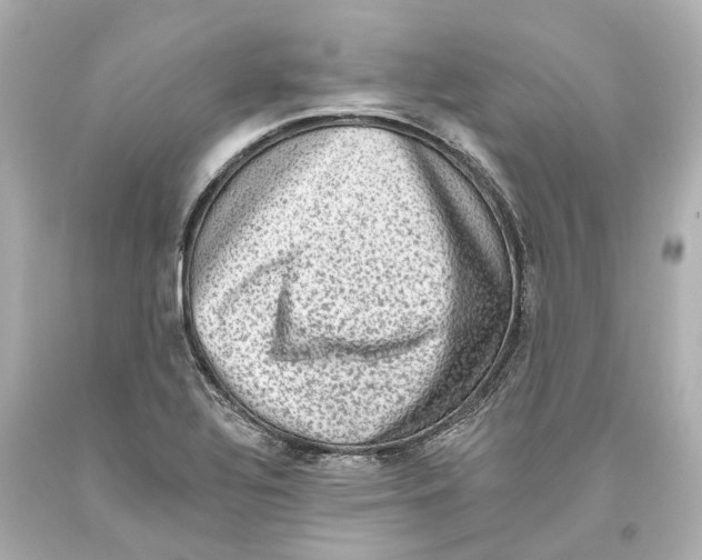 X0000093581320200711051110