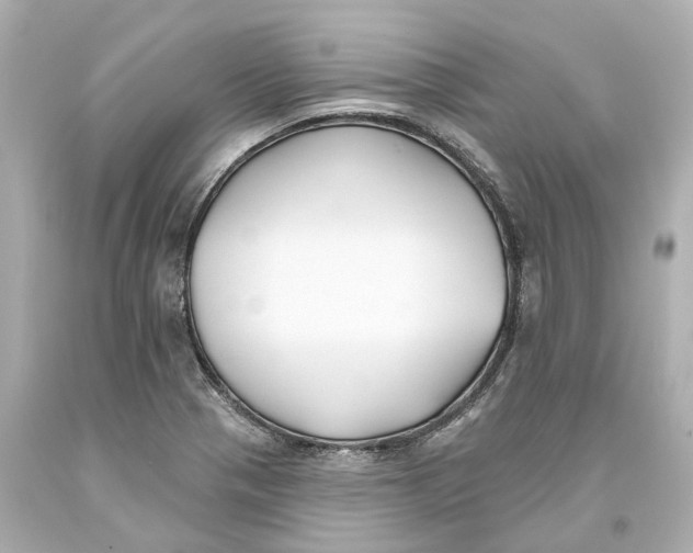 X0000093581321200711051110