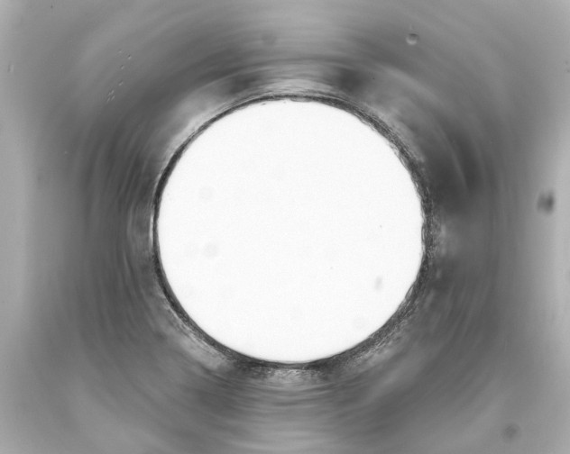 X0000093581322200711051110